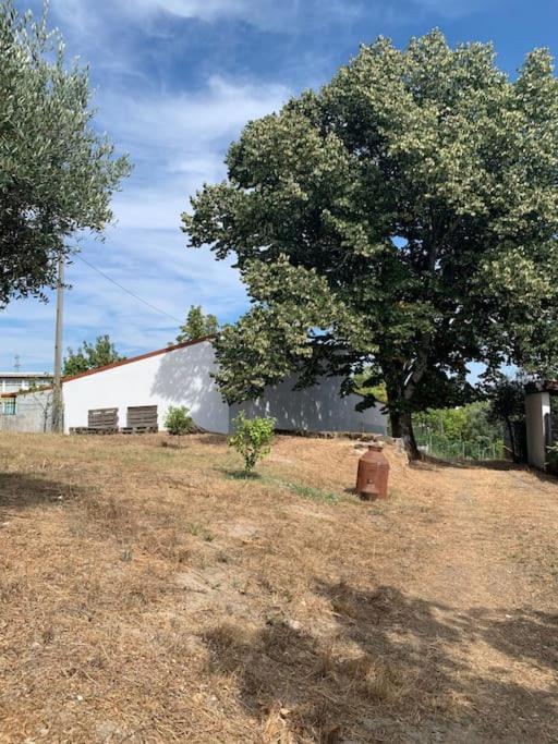 Willa Casa Da Oliveira Nelas Zewnętrze zdjęcie